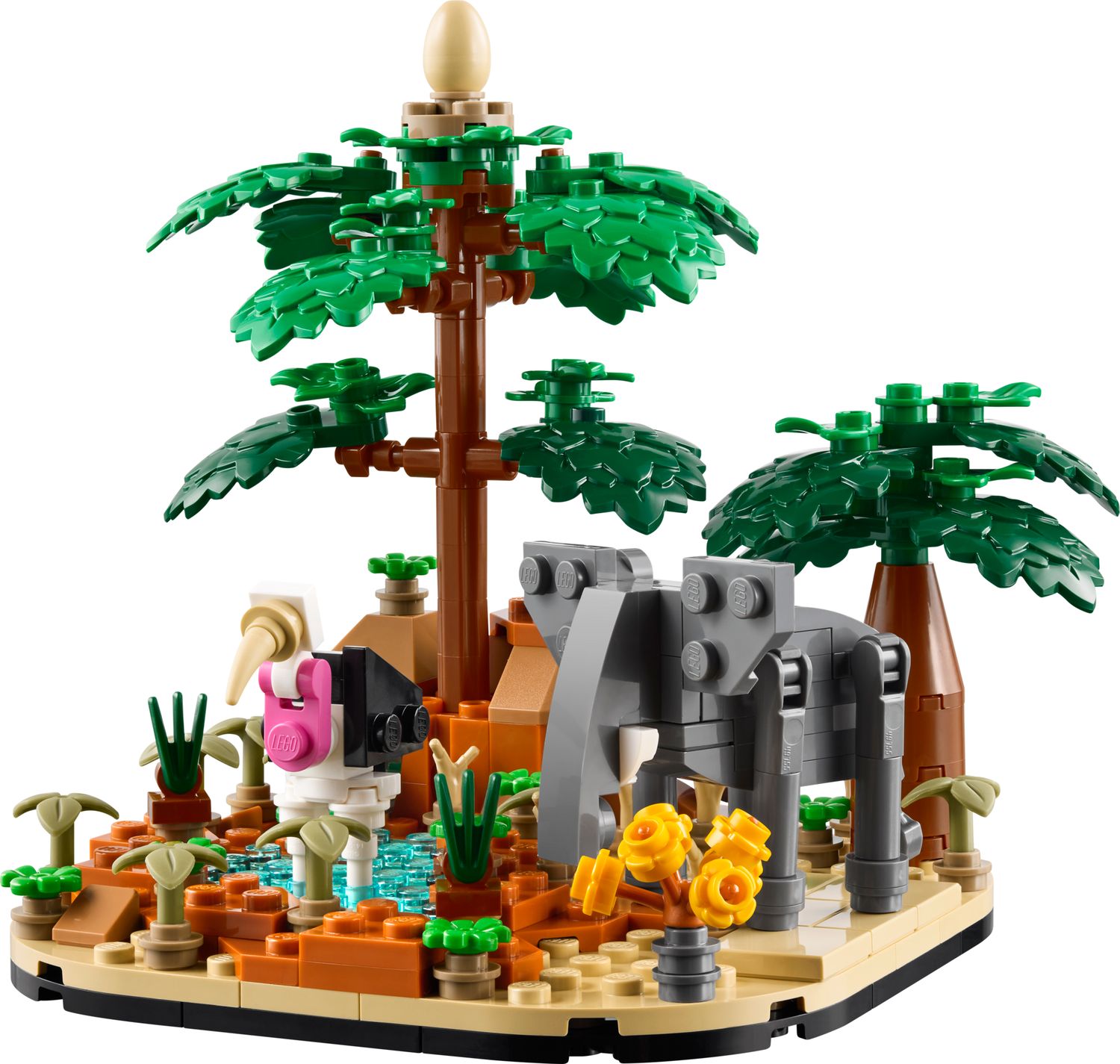 African Safari