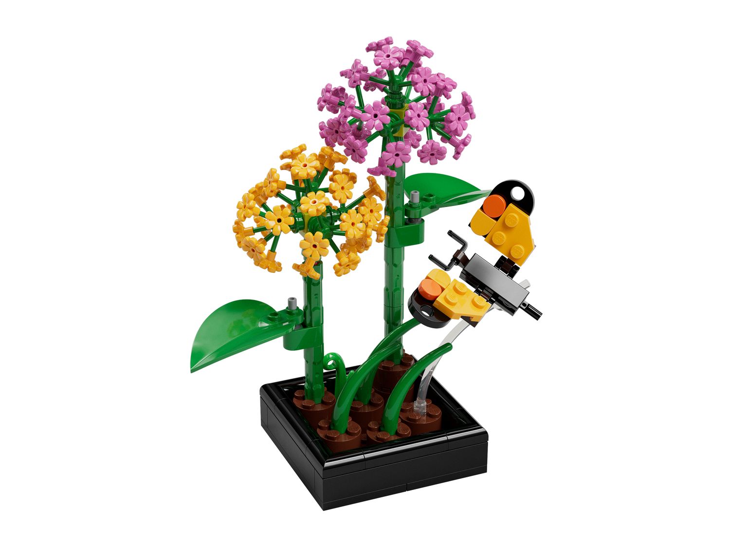 Butterfly Garden